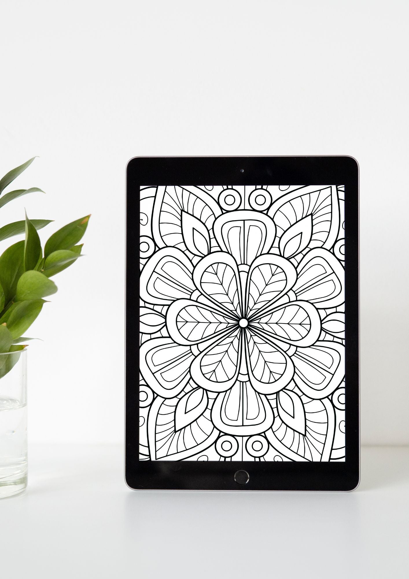 Mandala fargeleggingsbok | 50 sider å fargelegge | PDF og PNG