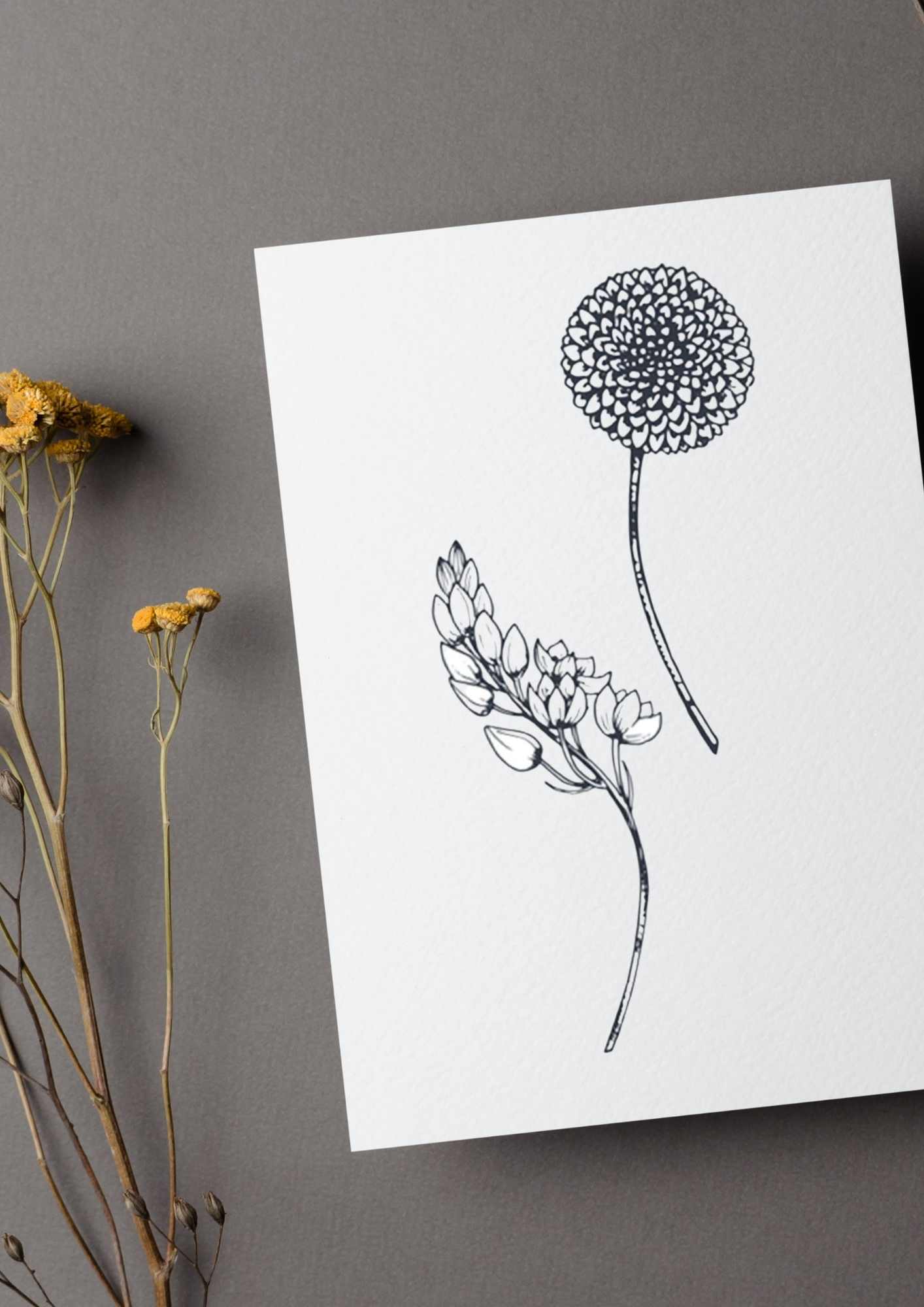 Lær å tegne BLOMSTER | 50 motiv | Enkle tegninger | PDF og PNG