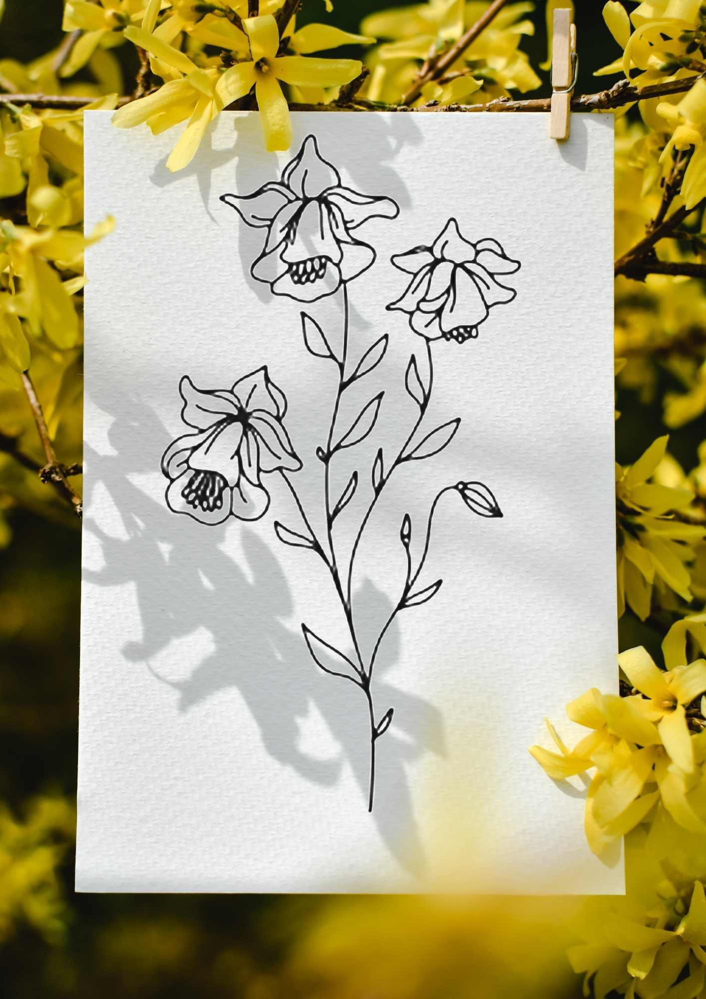 Lær å tegne BLOMSTER | 50 motiv | Enkle tegninger | PDF og PNG