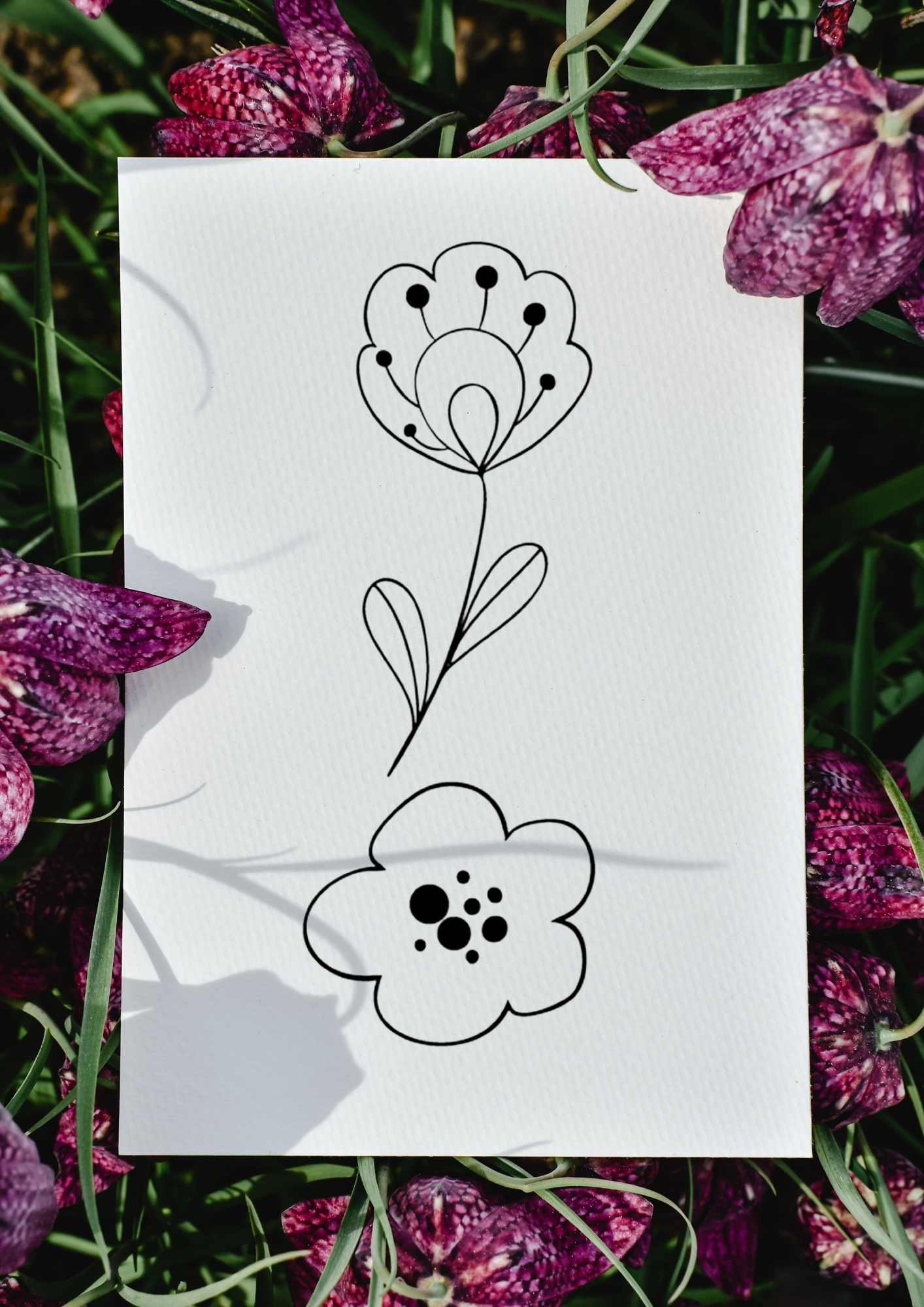 Lær å tegne BLOMSTER | 50 motiv | Enkle tegninger | PDF og PNG