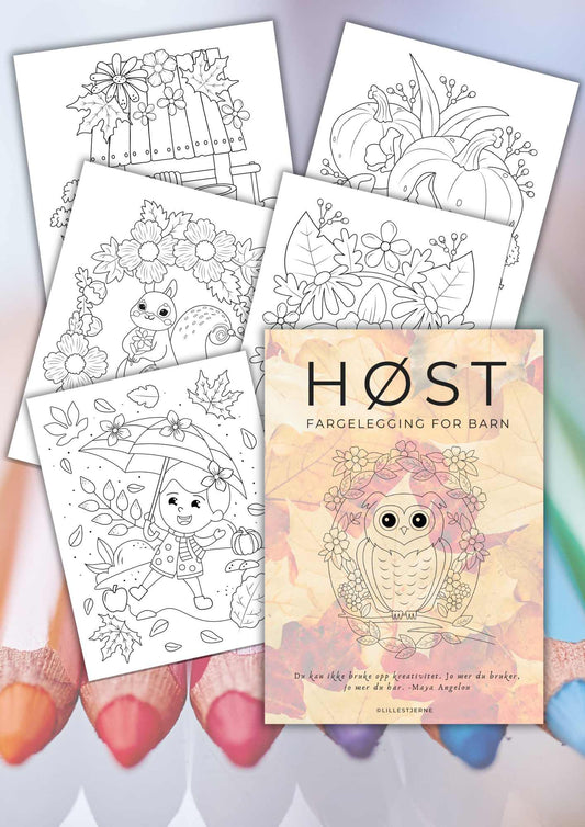 Høst fargelegging sider | 30 fargeleggingssider | PDF og PNG