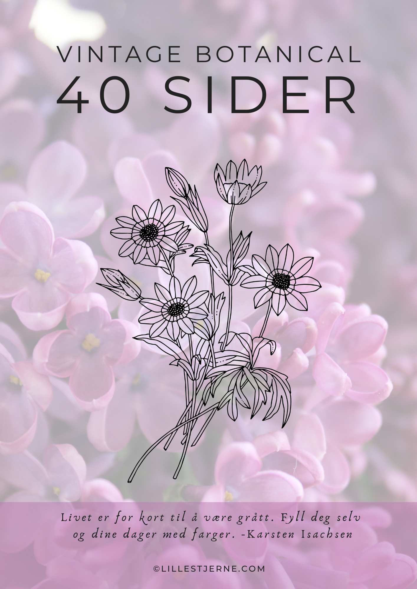 Fargelegge blomster | 40 sider Vintage Botanical blomster til fargelegging | PDF og PNG