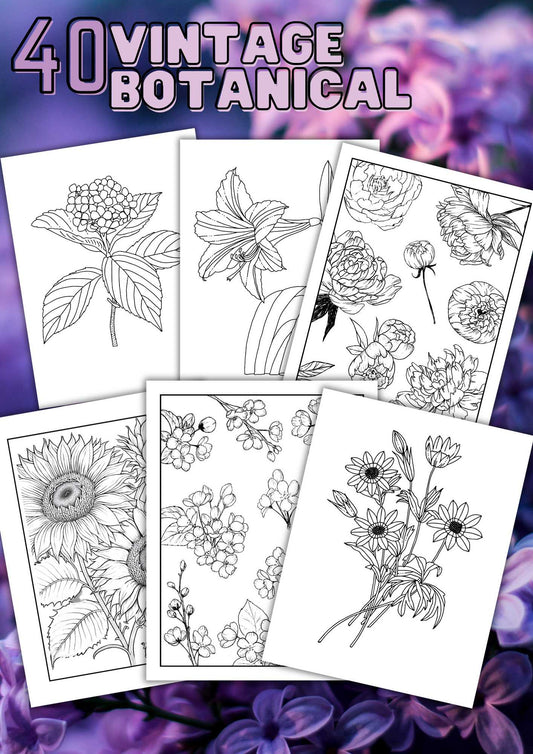 Fargelegge blomster | 40 sider Vintage Botanical blomster til fargelegging | PDF og PNG
