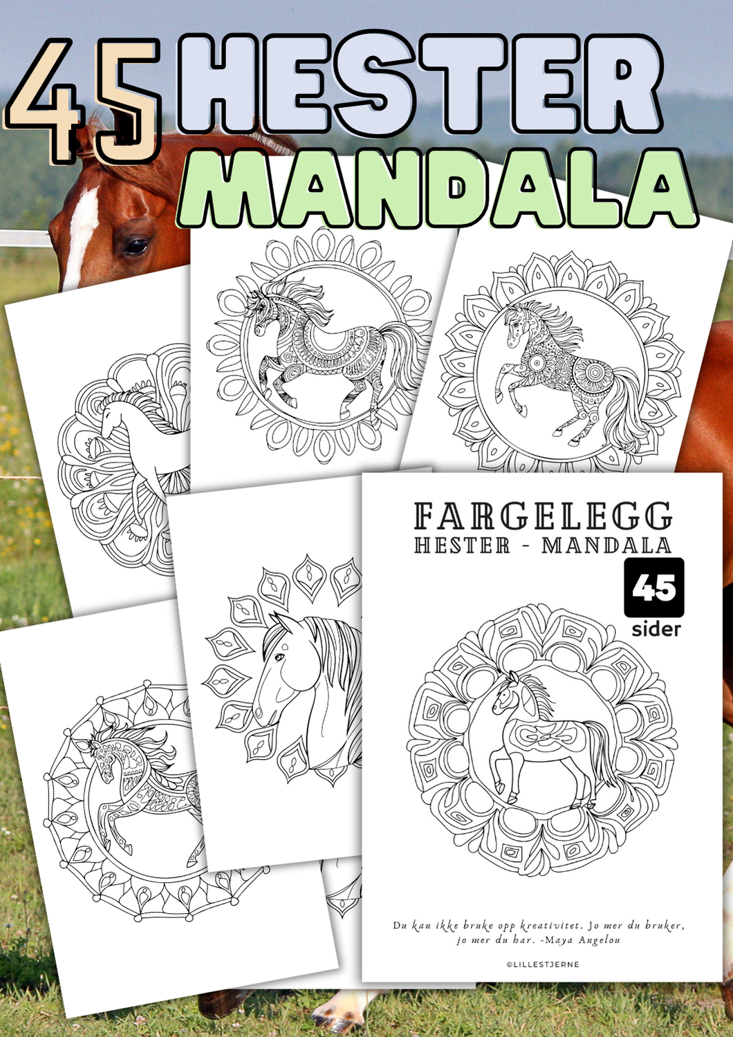 Fargelegge hester mandala motiv | 45 tegneark | PDF og PNG
