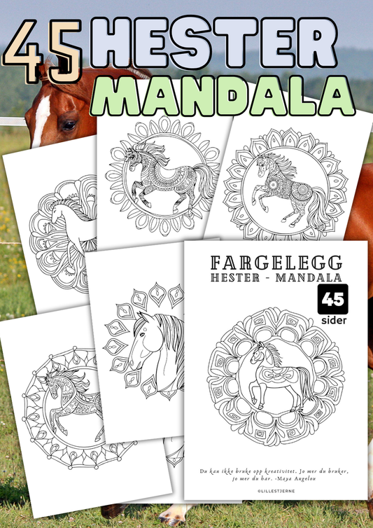 Fargelegge hester mandala motiv | 45 tegneark | PDF og PNG