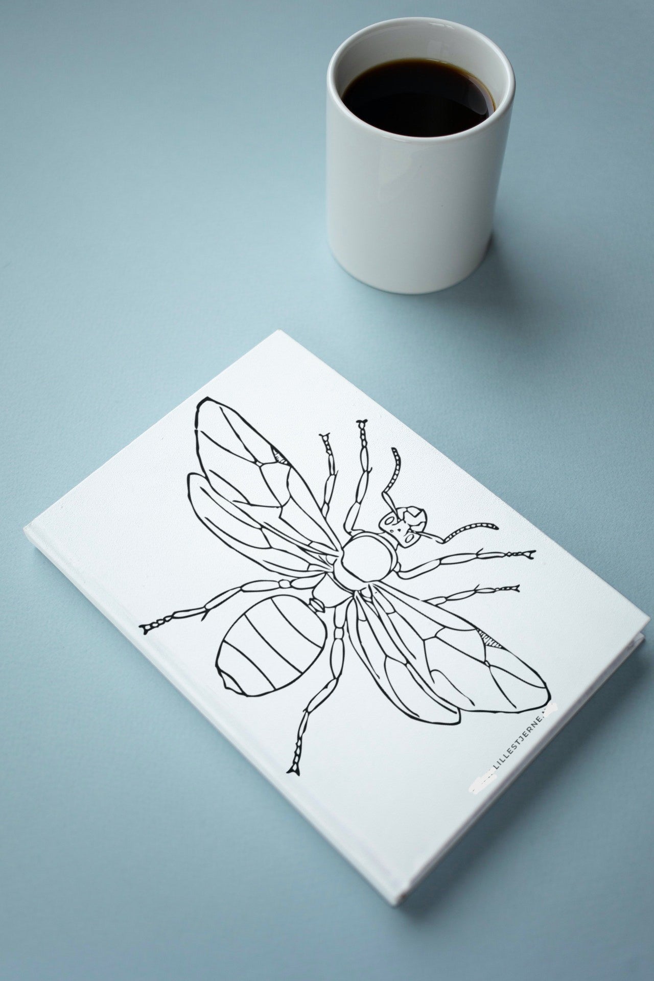 Insekter fargeleggingsbok for voksne | 40 ark til fargelegging | PDF og PNG